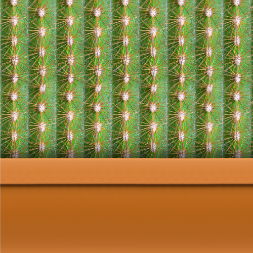 Cactus 40