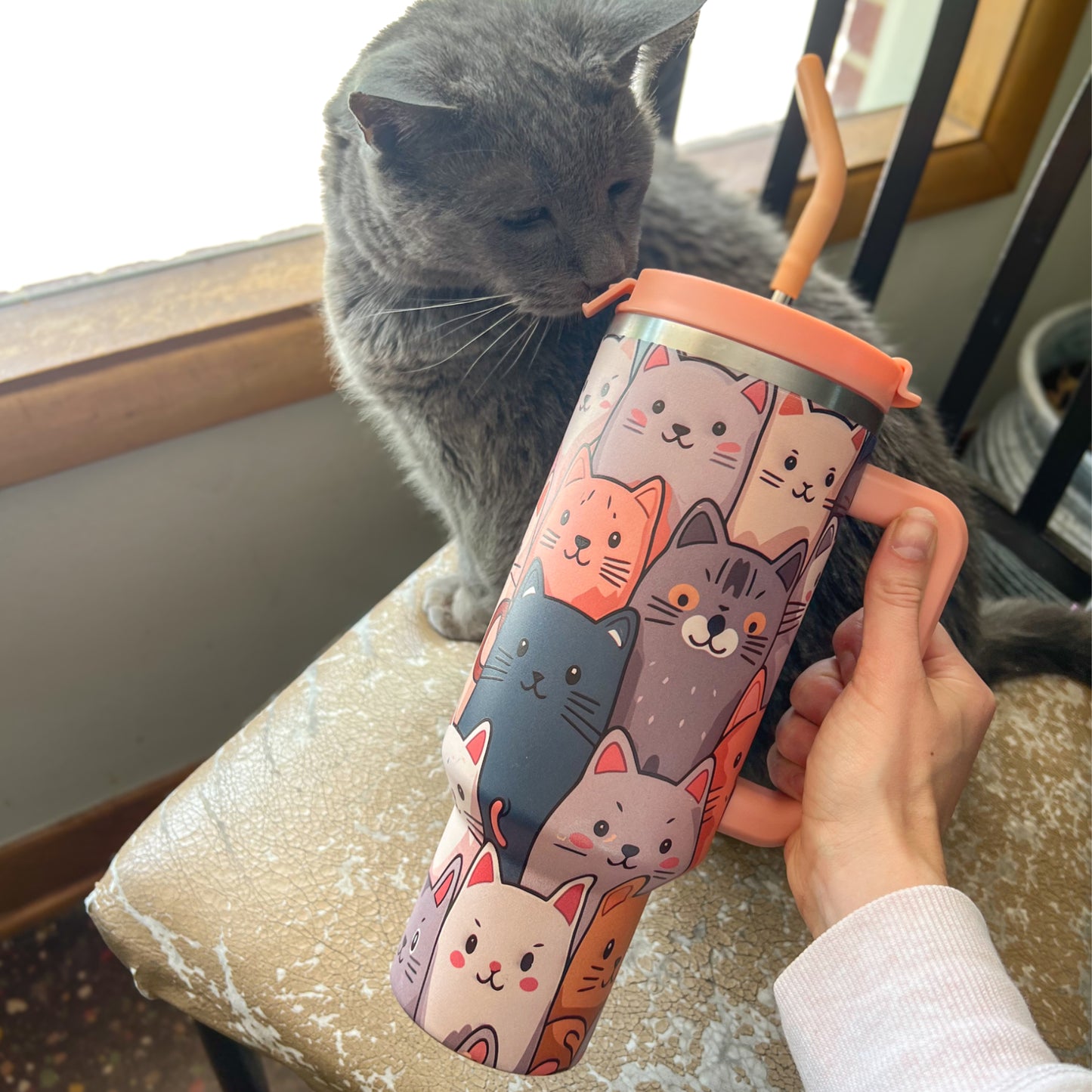 Cat Lover