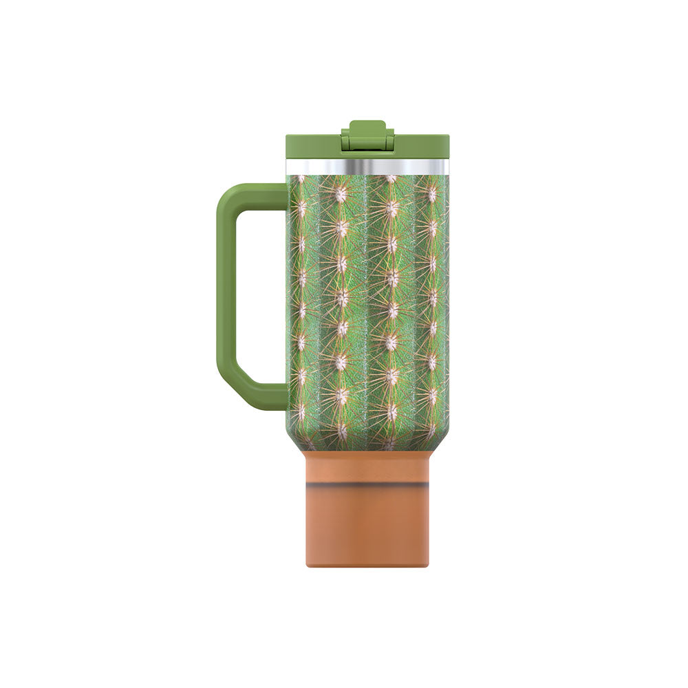Cactus 40