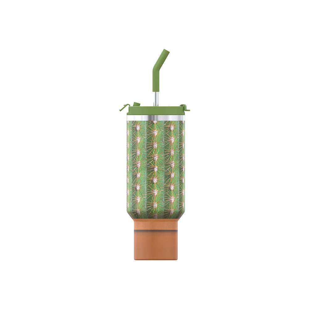 Cactus 40